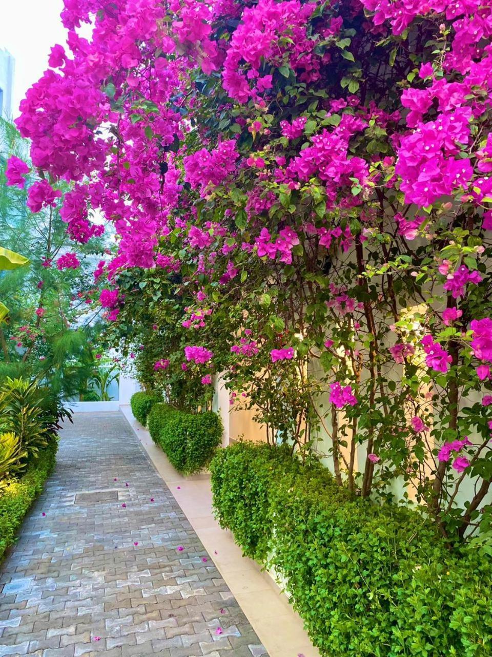 פריטאון The Lead Hotel מראה חיצוני תמונה